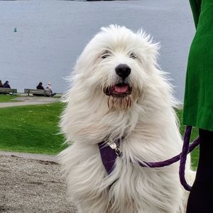 Meet your Posher, Jay